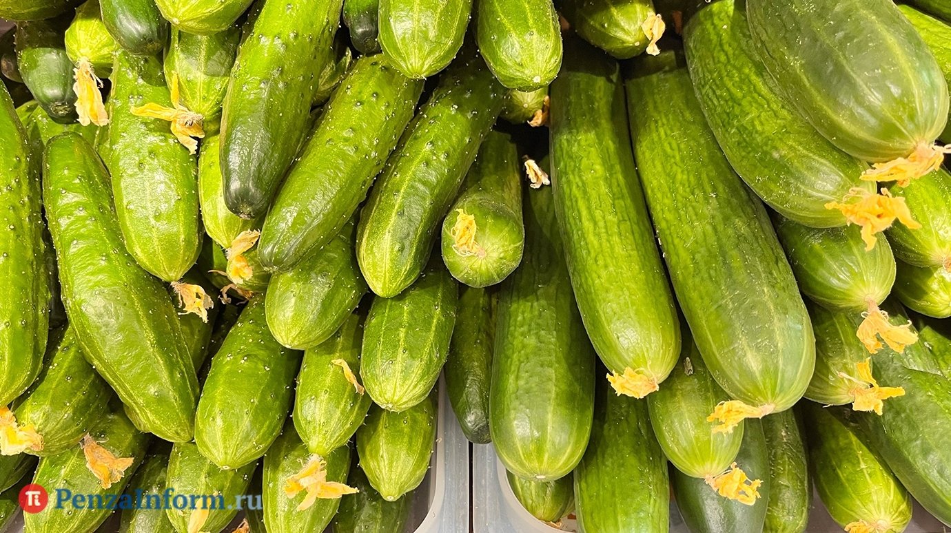 В России нашли способ сделать огурцы дешевле