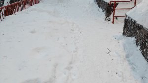 В Пензе Тропа здоровья превратилась в тропинку