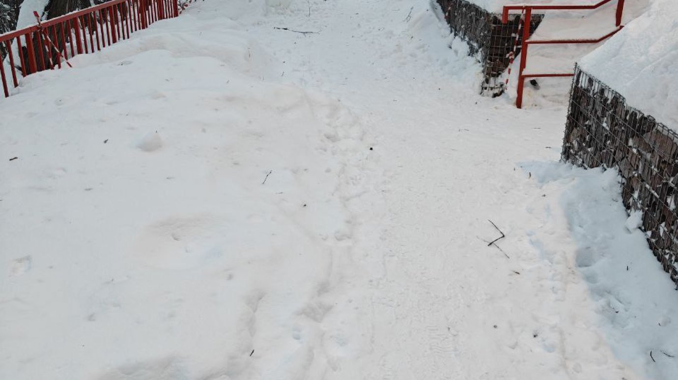 В Пензе Тропа здоровья превратилась в тропинку