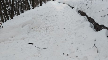 В Пензе Тропа здоровья превратилась в тропинку