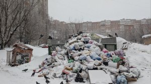 «Не вывозят вообще»: пензенцы жалуются на проблемы с мусором