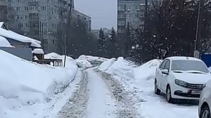 Пензенцы оставляют на заснеженных дорогах нервы и бамперы