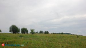 Составлен перечень опасных видов чужеродных растений