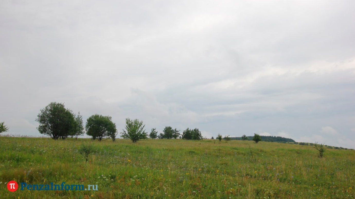 Составлен перечень опасных видов чужеродных растений