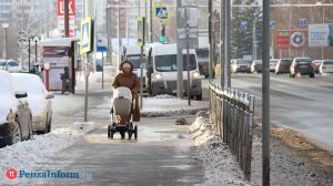 В 2025 году более 290 семей вызывали социальных нянь