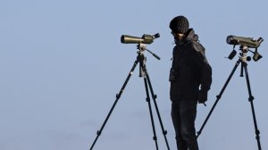 19 февраля - День орнитолога