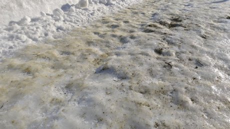 Более 700 жителей Пензенской области стали жертвами гололеда