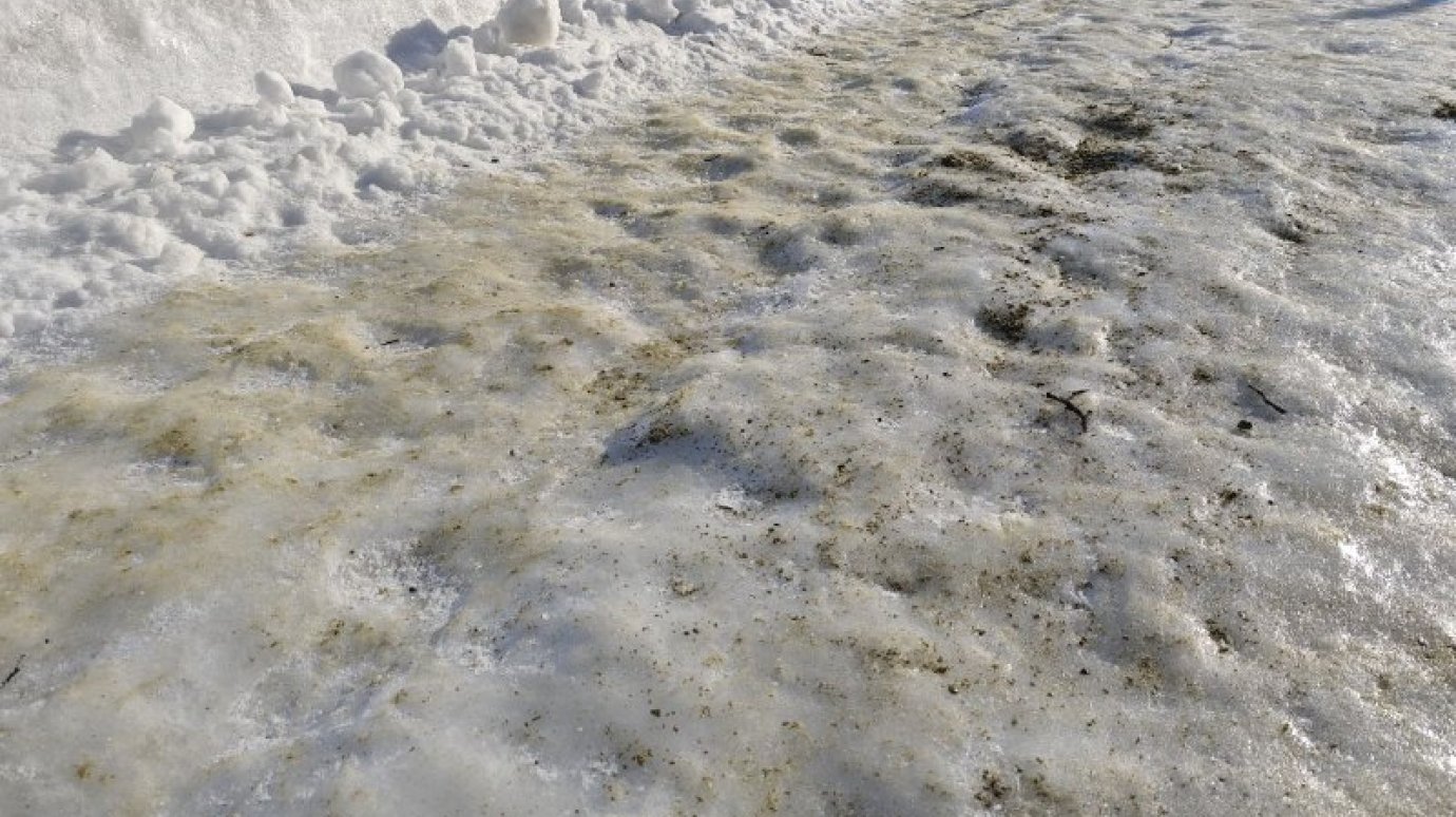 Более 700 жителей Пензенской области стали жертвами гололеда