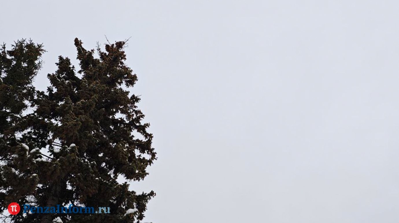 Над Пензенской областью подавили работу БПЛА