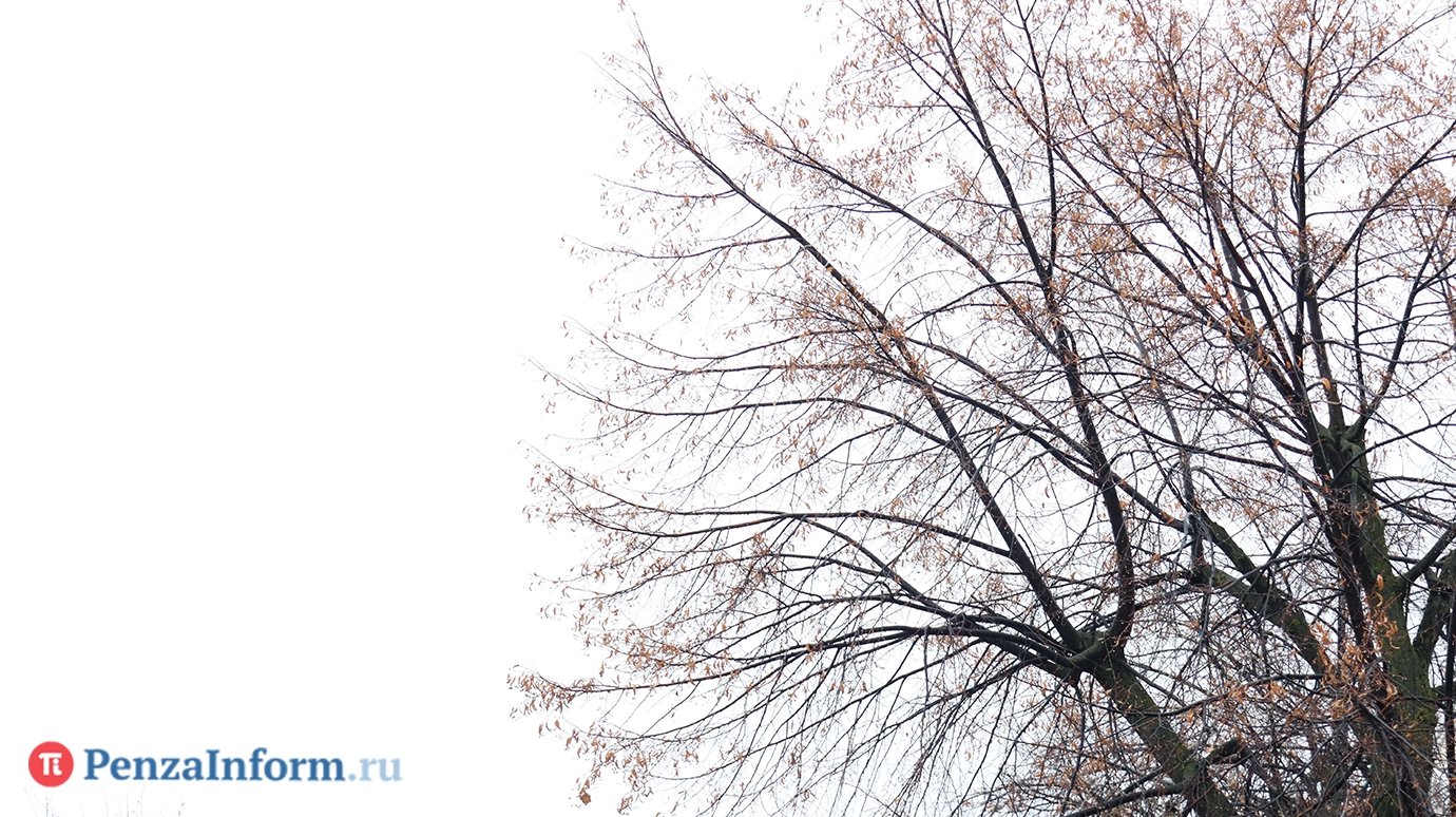 В Пензенской области средства РЭБ подавили еще 2 БПЛА