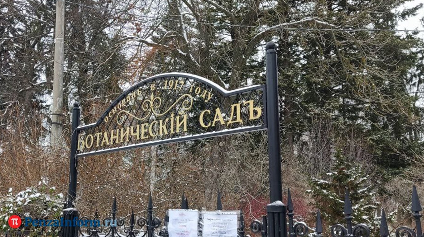 Пензенцы не смогут самостоятельно посещать ботанический сад