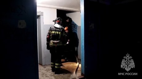 Из пожара на Медицинской спасли семерых человек