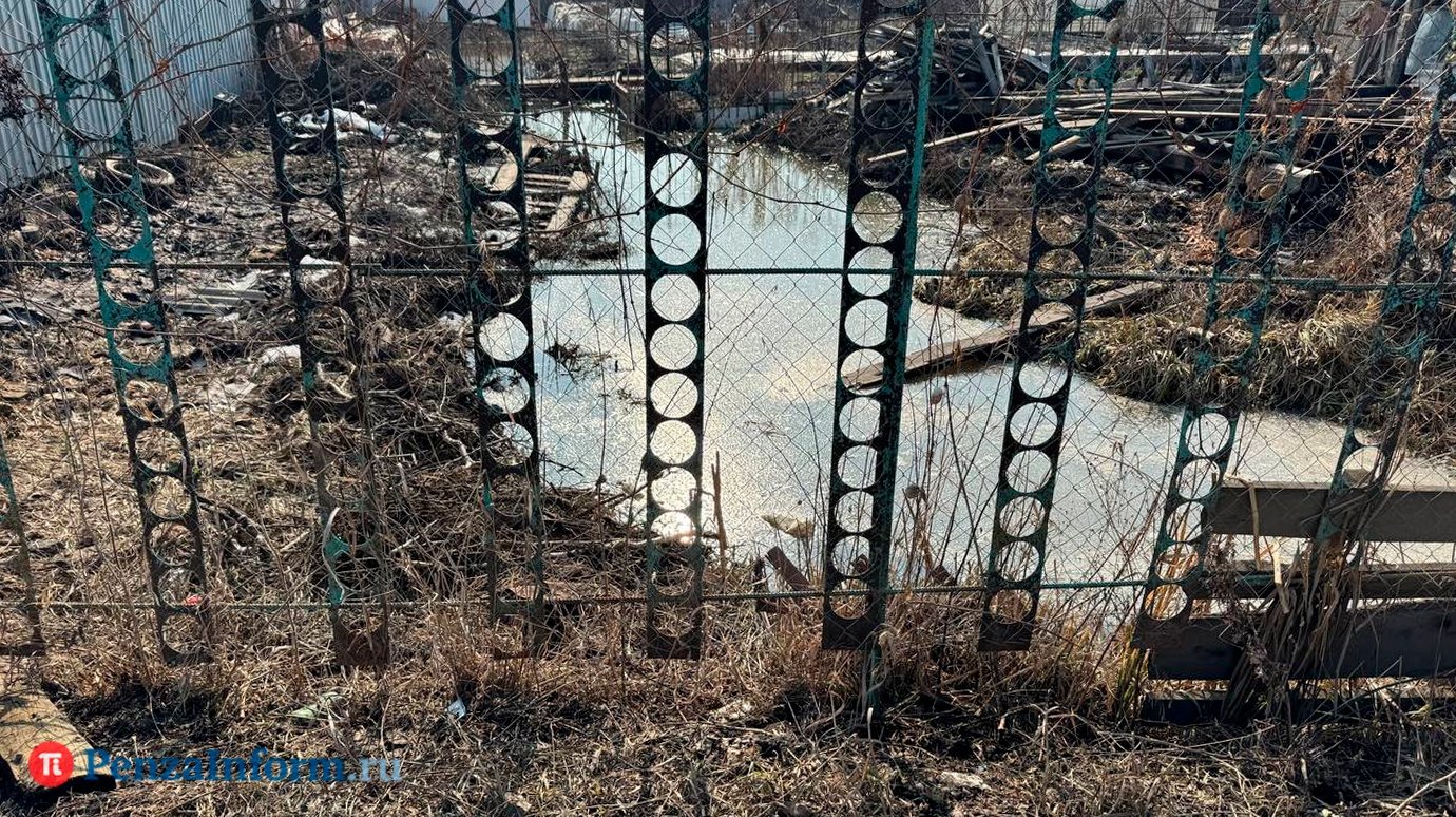 Названы суммы компенсации для пострадавших при паводке