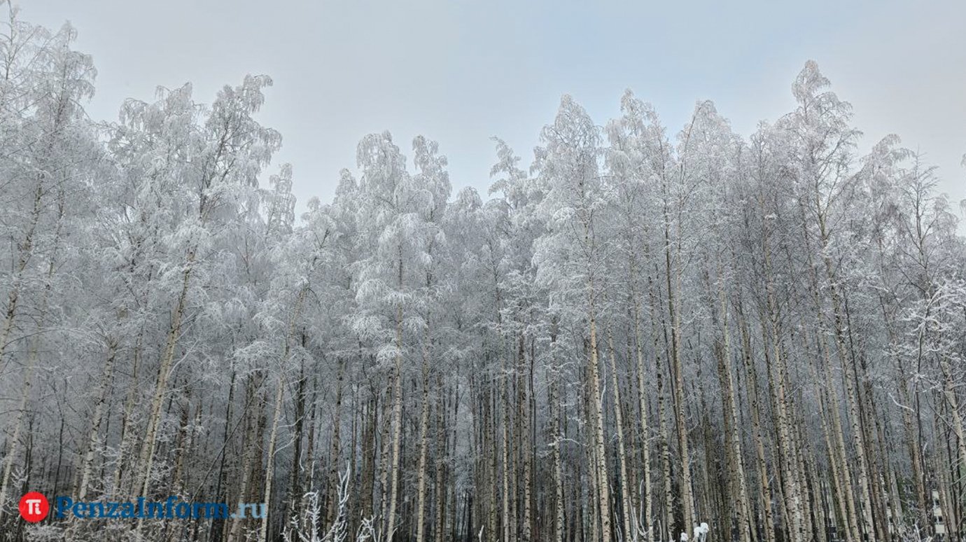 Синоптики рассказали, каким будет март в Пензенской области