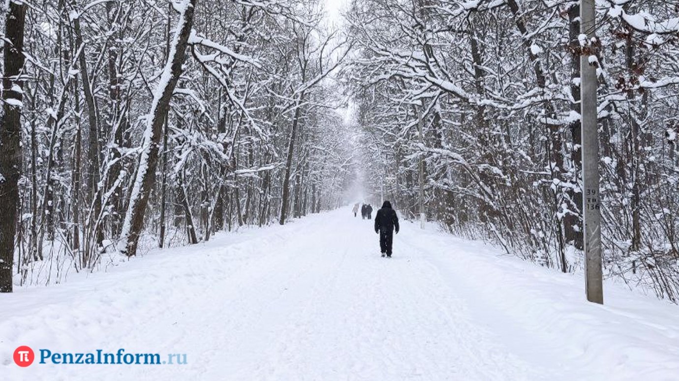 Защищаемся от болезней