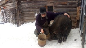 Как Пузырь гуманитарную помощь получил