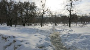 6 марта в Пензенской области прогнозируется небольшой снег