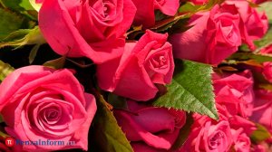 В России снизился интерес к простым подаркам на 8 Марта