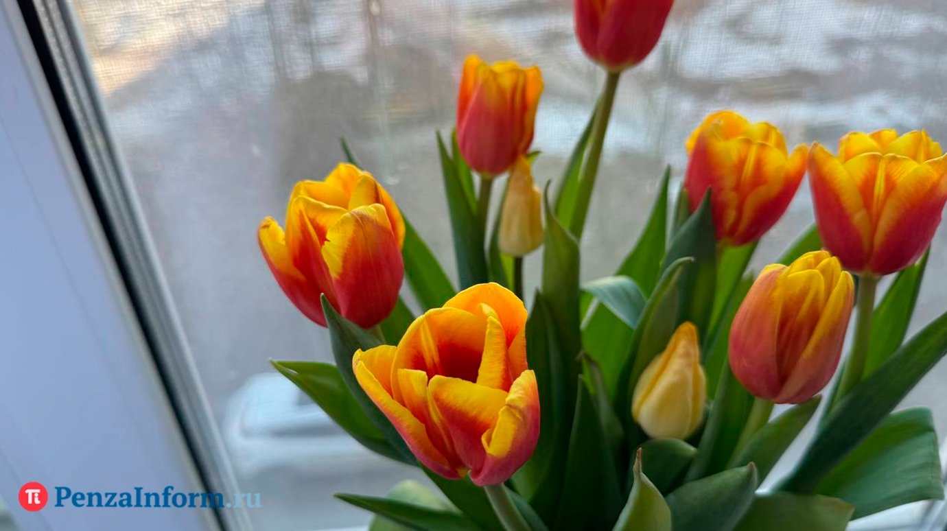 8 Марта - Международный женский день