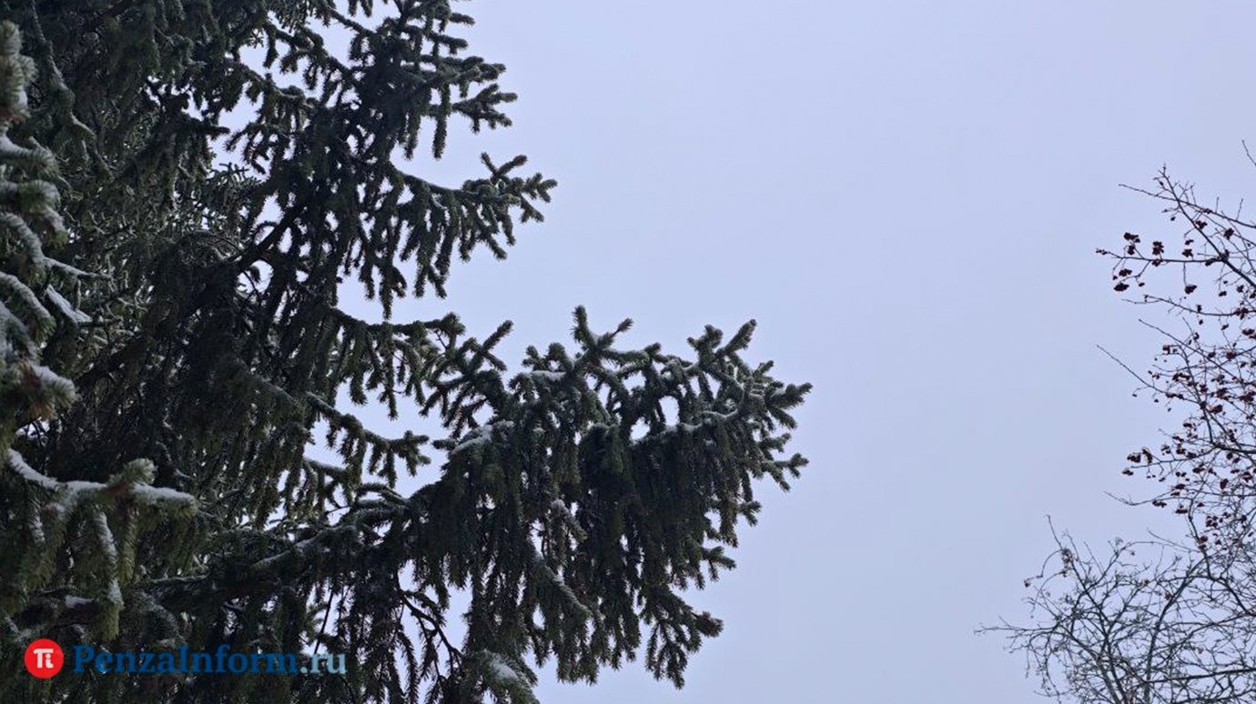 8 марта в Пензенской области ожидается сильный ветер