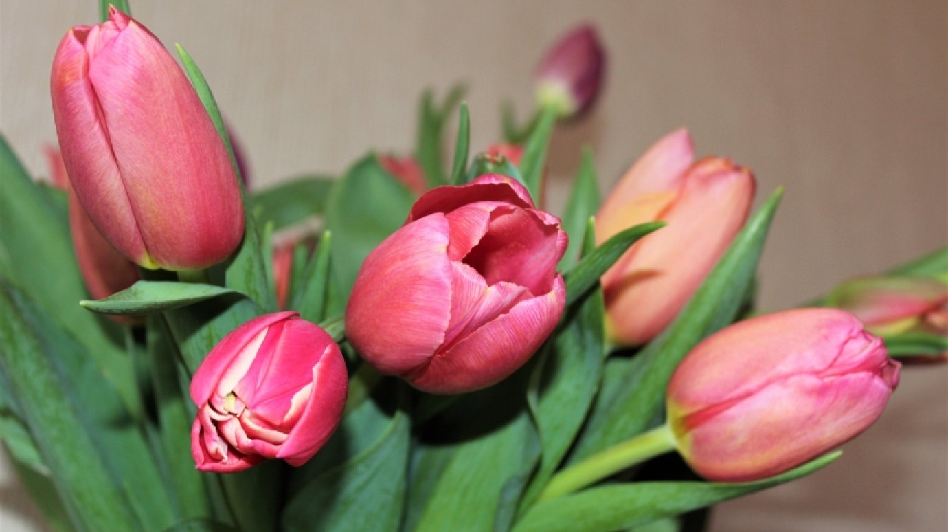 Флорист: Букет должен стать продолжением характера