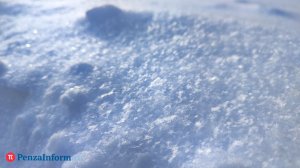 Сугроб в помощь? Сколько надо снега для роста растений