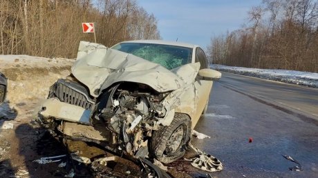 В Пензенском районе в жестком ДТП погибли 2 человека