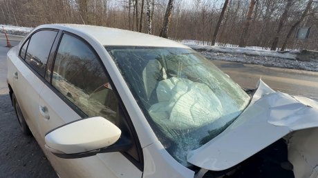 Появились новые кадры с места трагедии в Пензенском районе