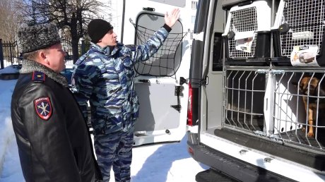 В Пензе полицейским вручили ключи от новых служебных автомобилей