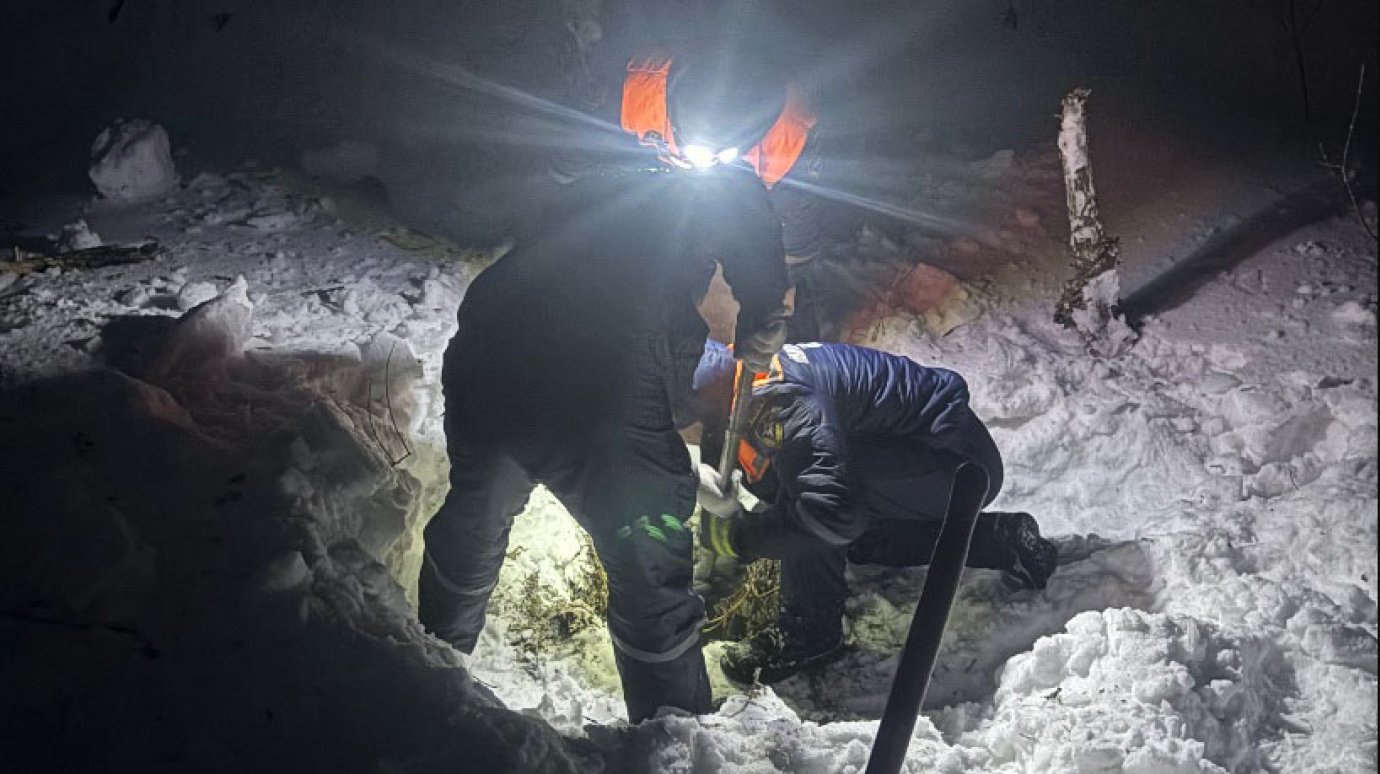 Пензенские спасатели вытащили собаку из 3-метрового колодца