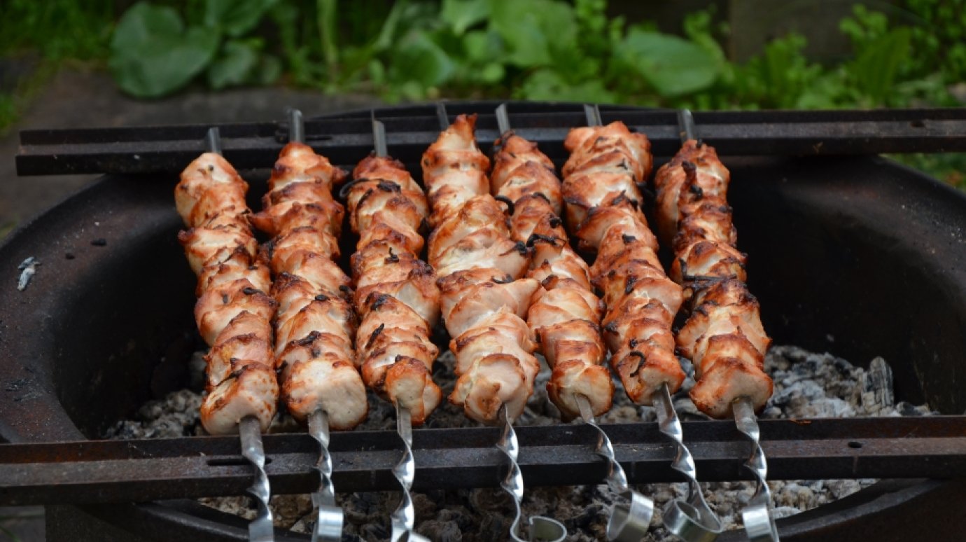 В Госдуме захотели запретить мангалы