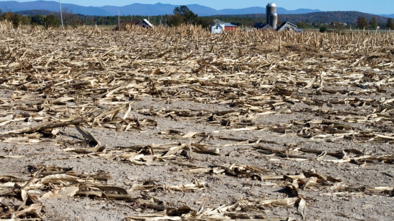 Грядущий супер-Эль-Ниньо приведет к новым тепловым рекордам