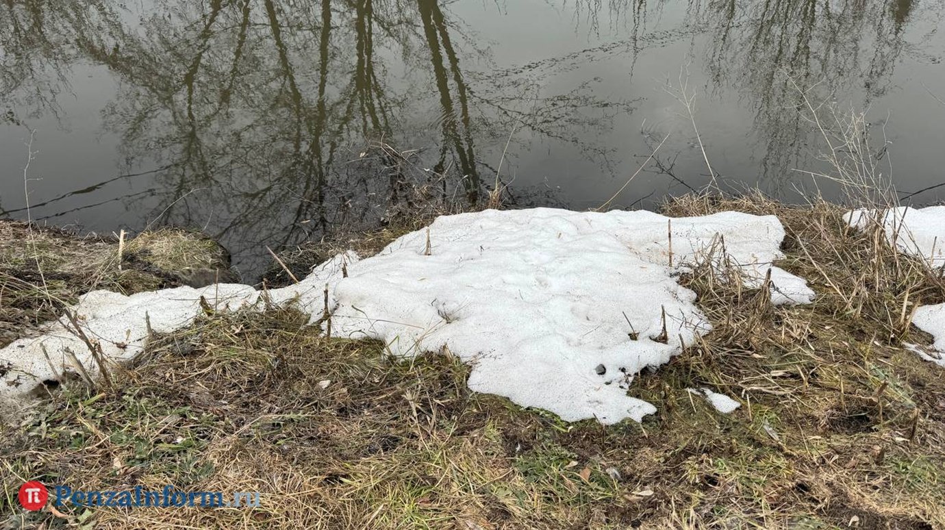 Ситуацию с паводком в Пензе назвали стабильной