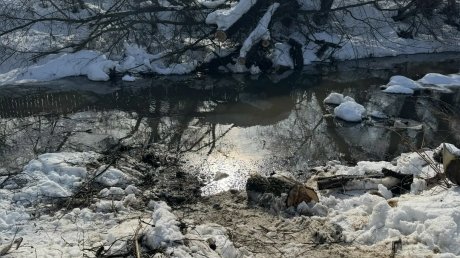 Подготовка к паводку: в Кузнецке очистили русло реки Труев