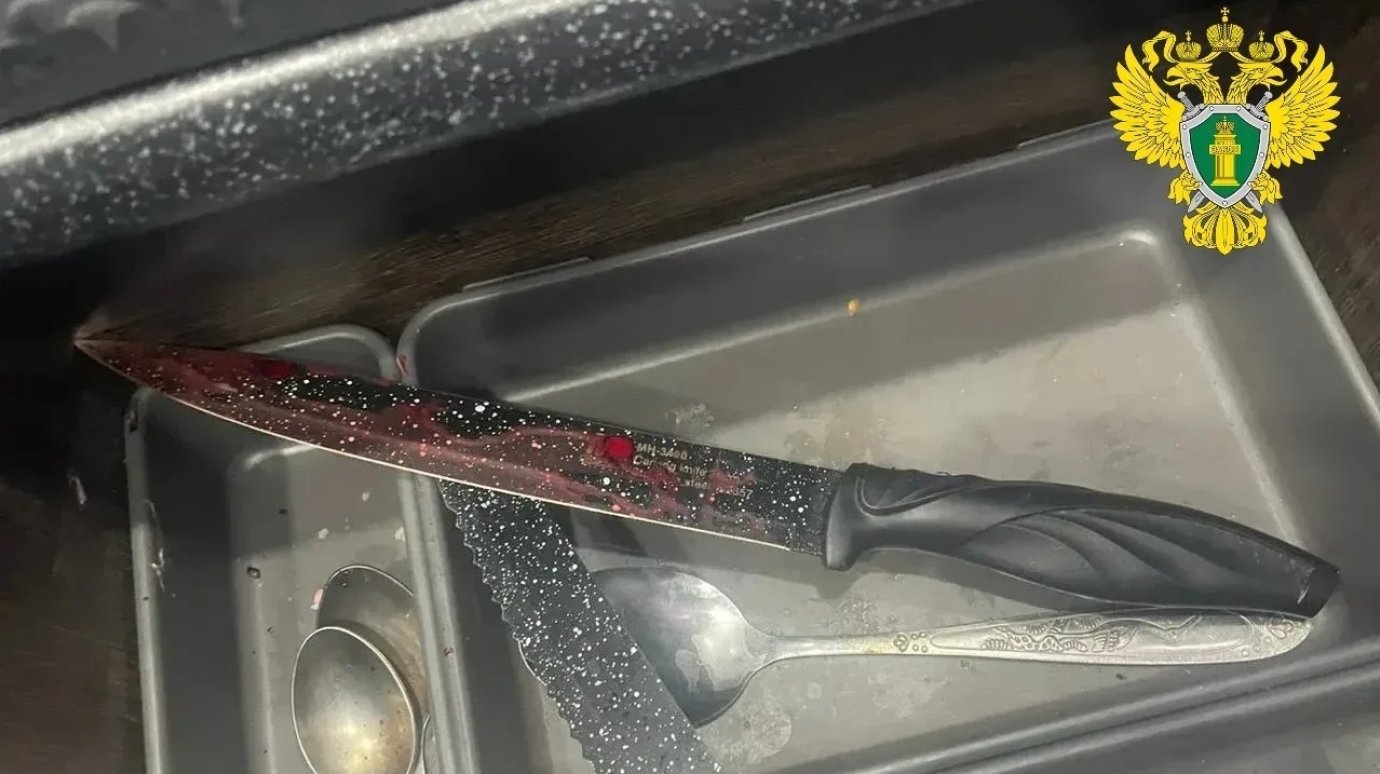 Сердобчанку отправили в колонию за убийство сожителя