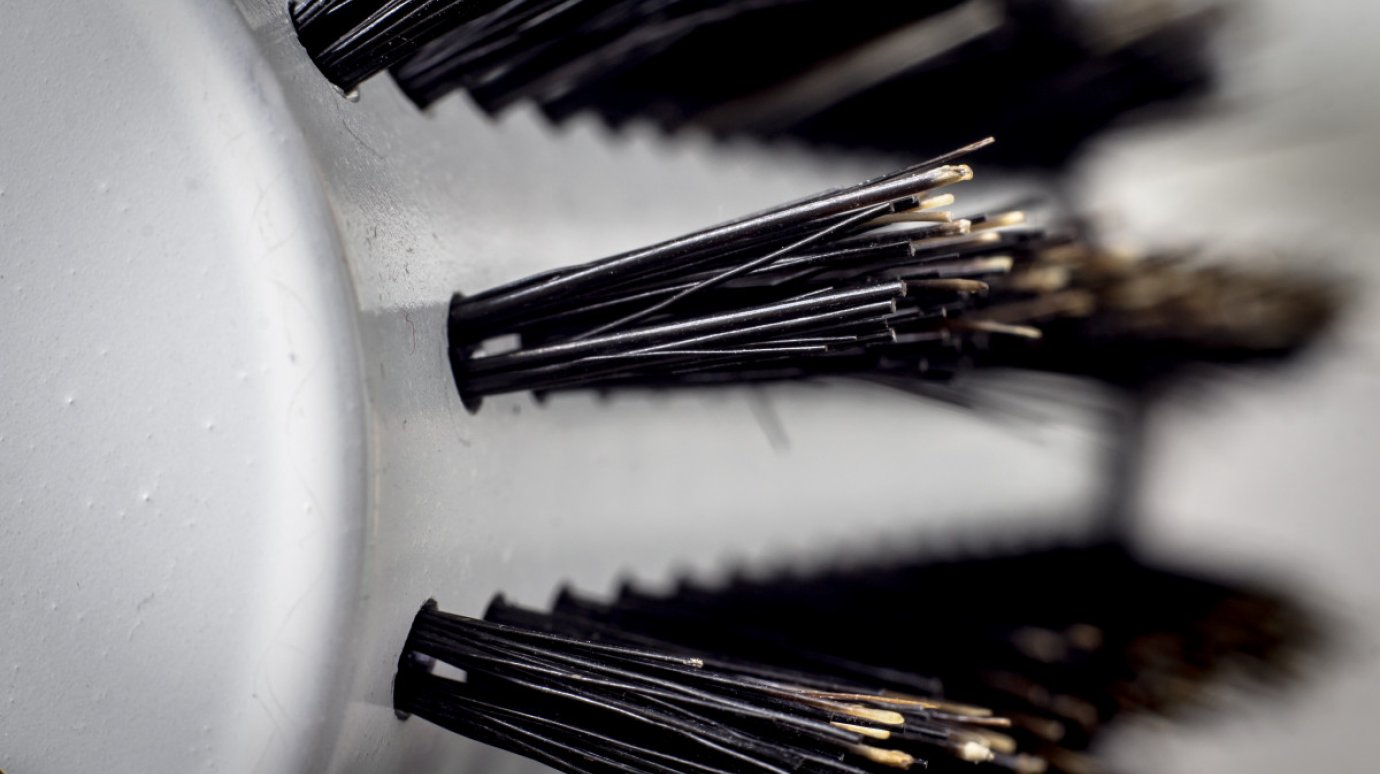 Расческу сравнили с ободком унитаза по количеству скапливающихся бактерий