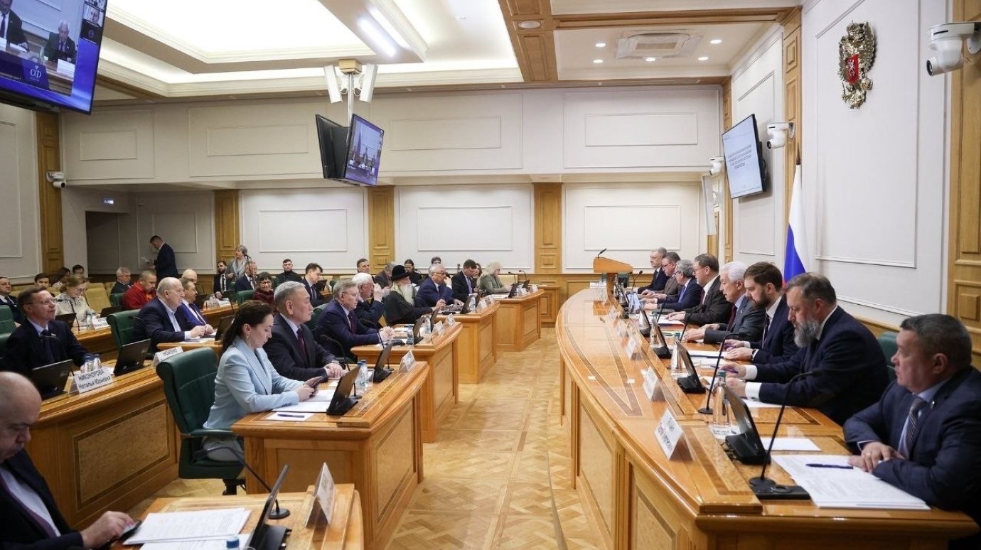 В Совфеде высоко оценили пензенский опыт работы с молодежью