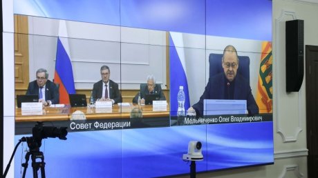 В Совфеде высоко оценили пензенский опыт работы с молодежью