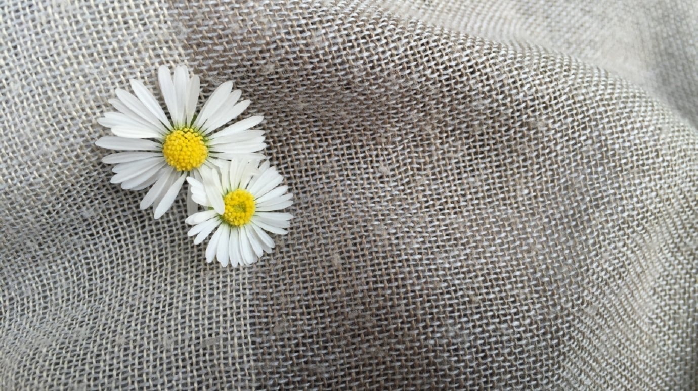 24 марта - Международный день борьбы с туберкулезом