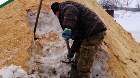 Сотрудники минлесхоза оборудовали хранилище семян дуба