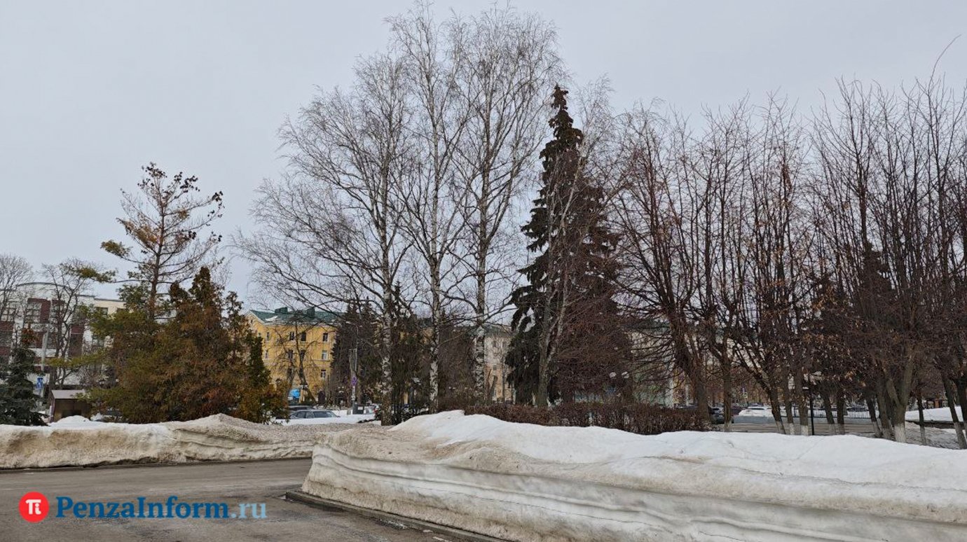 Синоптики рассказали о погоде в Пензенской области 26 марта