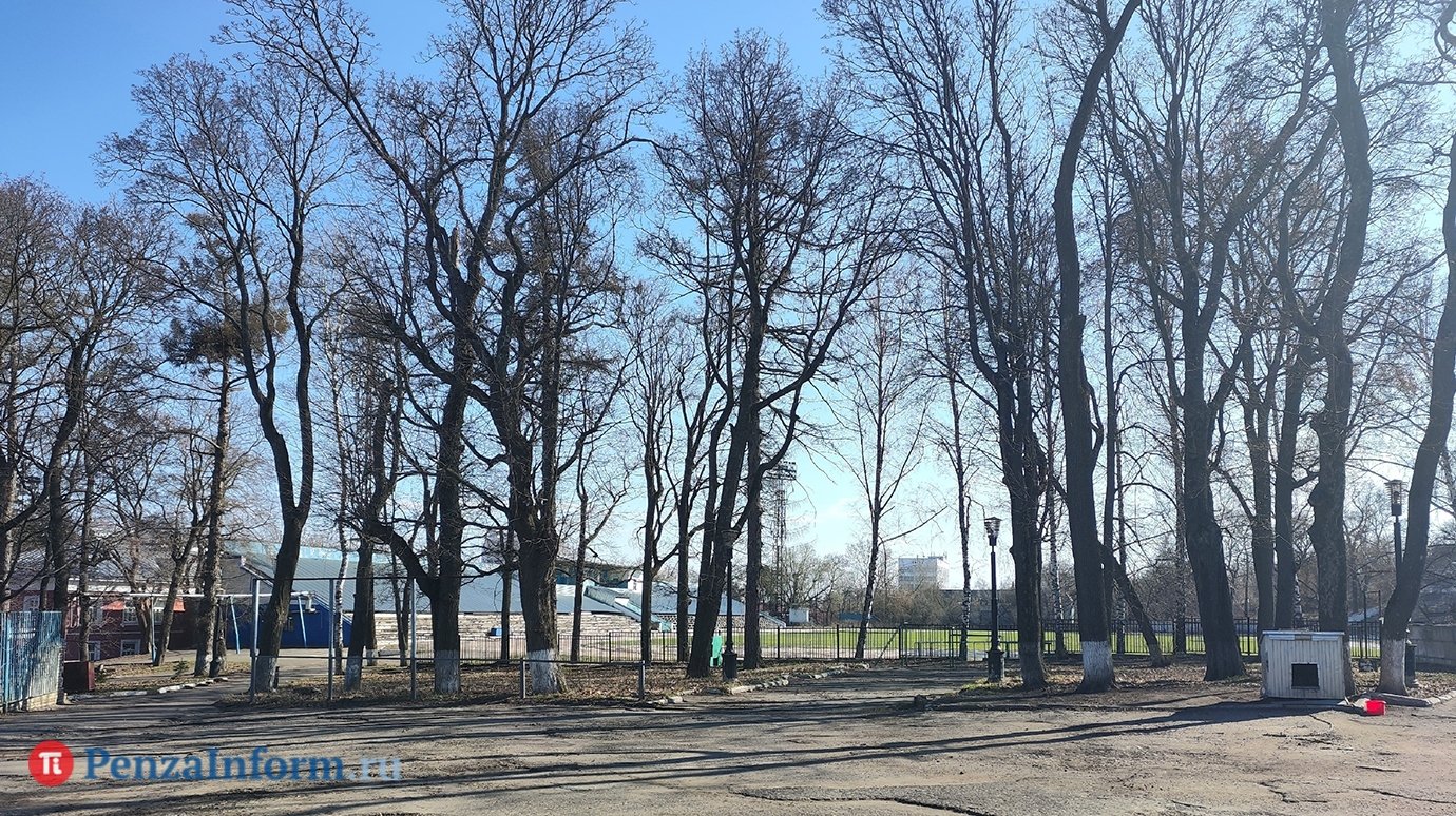 Стадион «Труд» пообещали не отдавать под жилую застройку