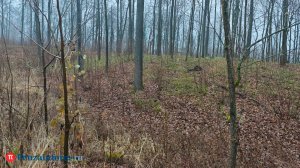 Уточнена дата старта пожароопасного сезона в Пензенской области