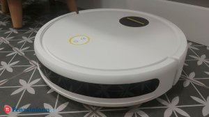 Раскрыт способ борьбы с пылевыми клещами