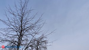 Над Пензенской областью снова сбили беспилотники