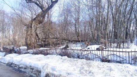 На Мироносицком кладбище деревья обрушились на могилы