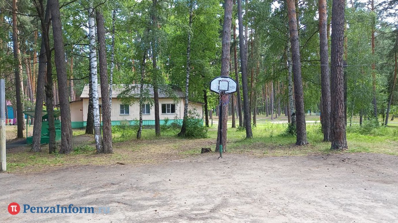 1 апреля стартует прием заявок в первый класс и на путевки в лагеря