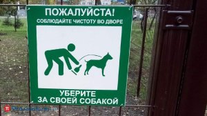 «Пупер-скупер»: не пора ли убрать за питомцами?