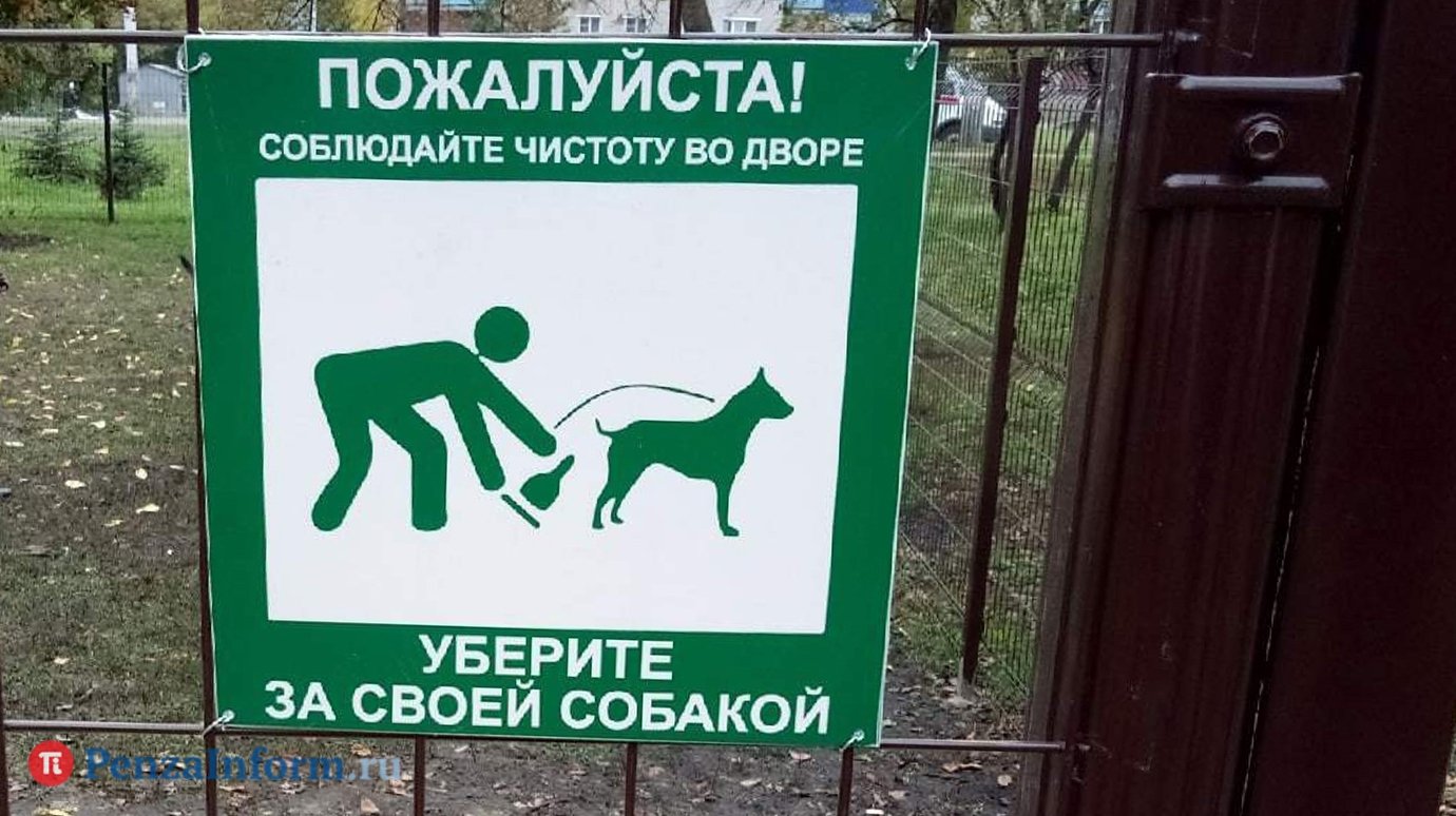 «Пупер-скупер»: не пора ли убрать за питомцами?