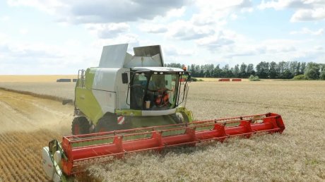 Экспорт сельхозпродукции Пензенской области превысил план